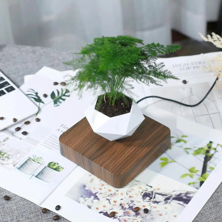 Levitating Air Bonsai Pot – Magnetic Floating Planter for Home Decor