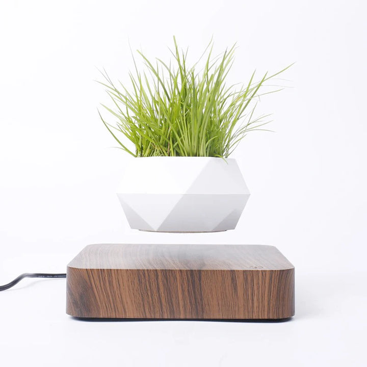 Levitating Air Bonsai Pot – Magnetic Floating Planter for Home Decor