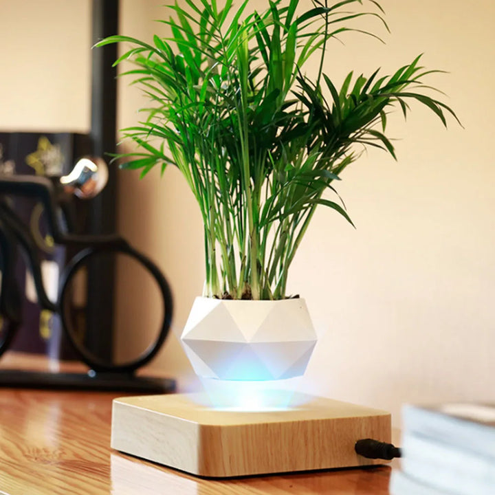 Levitating Air Bonsai Pot – Magnetic Floating Planter for Home Decor