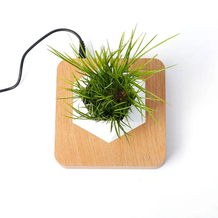 Levitating Air Bonsai Pot – Magnetic Floating Planter for Home Decor