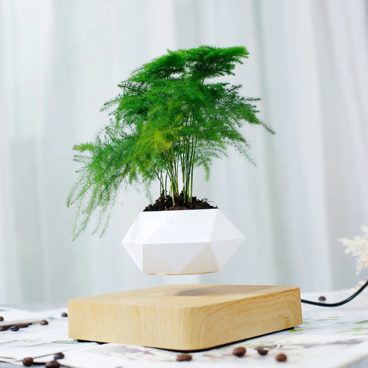 Levitating Air Bonsai Pot – Magnetic Floating Planter for Home Decor