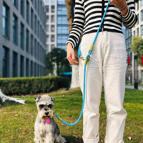 Reflective Nylon Dog Leash – Hands-Free Traction Rope for Running & Walking Small to Large Dogs