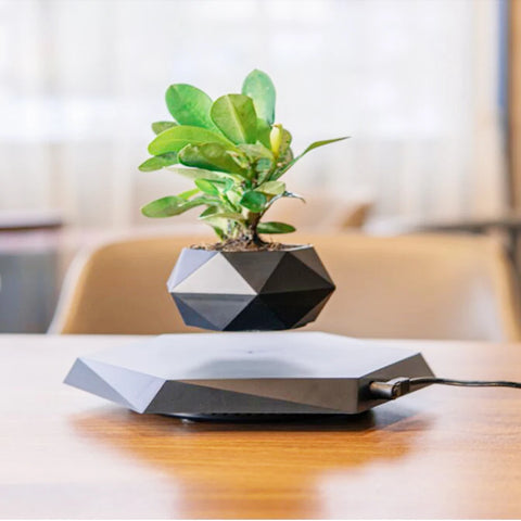 Levitating Air Bonsai Pot – Magnetic Floating Planter for Home Decor