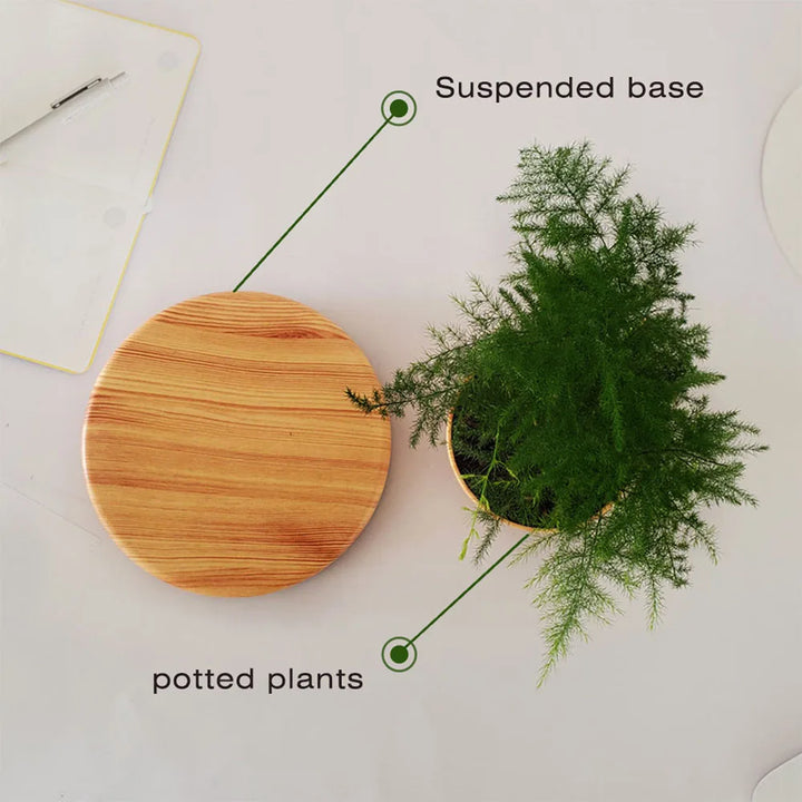 Levitating Air Bonsai Pot – Magnetic Floating Planter for Home Decor