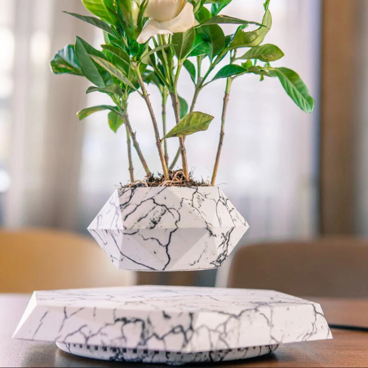 Levitating Air Bonsai Pot – Magnetic Floating Planter for Home Decor