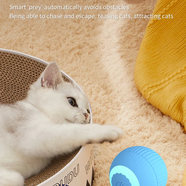 LED Electric Rolling Cat Ball – Smart Interactive Toy for Cat Training and Indoor Play